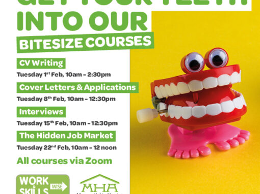 Exciting New Bitesize Courses for Job Seekers!
