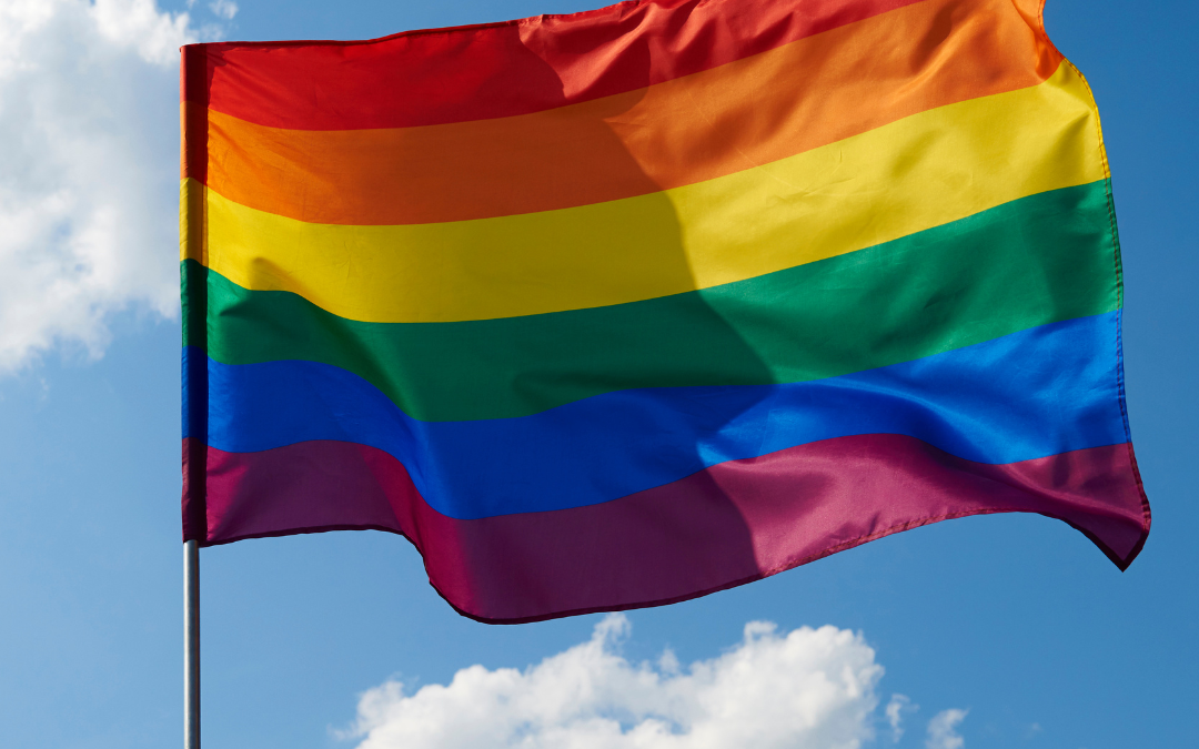 Fantastic celebrations for LGBT+ History Month!