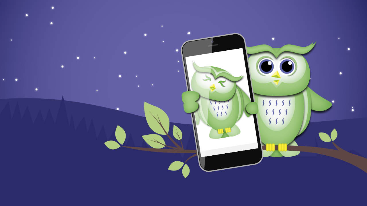 Quick link image View and Update Details