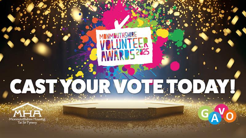 Shining a Spotlight on Monmouthshire’s Unsung Heroes thumbnail