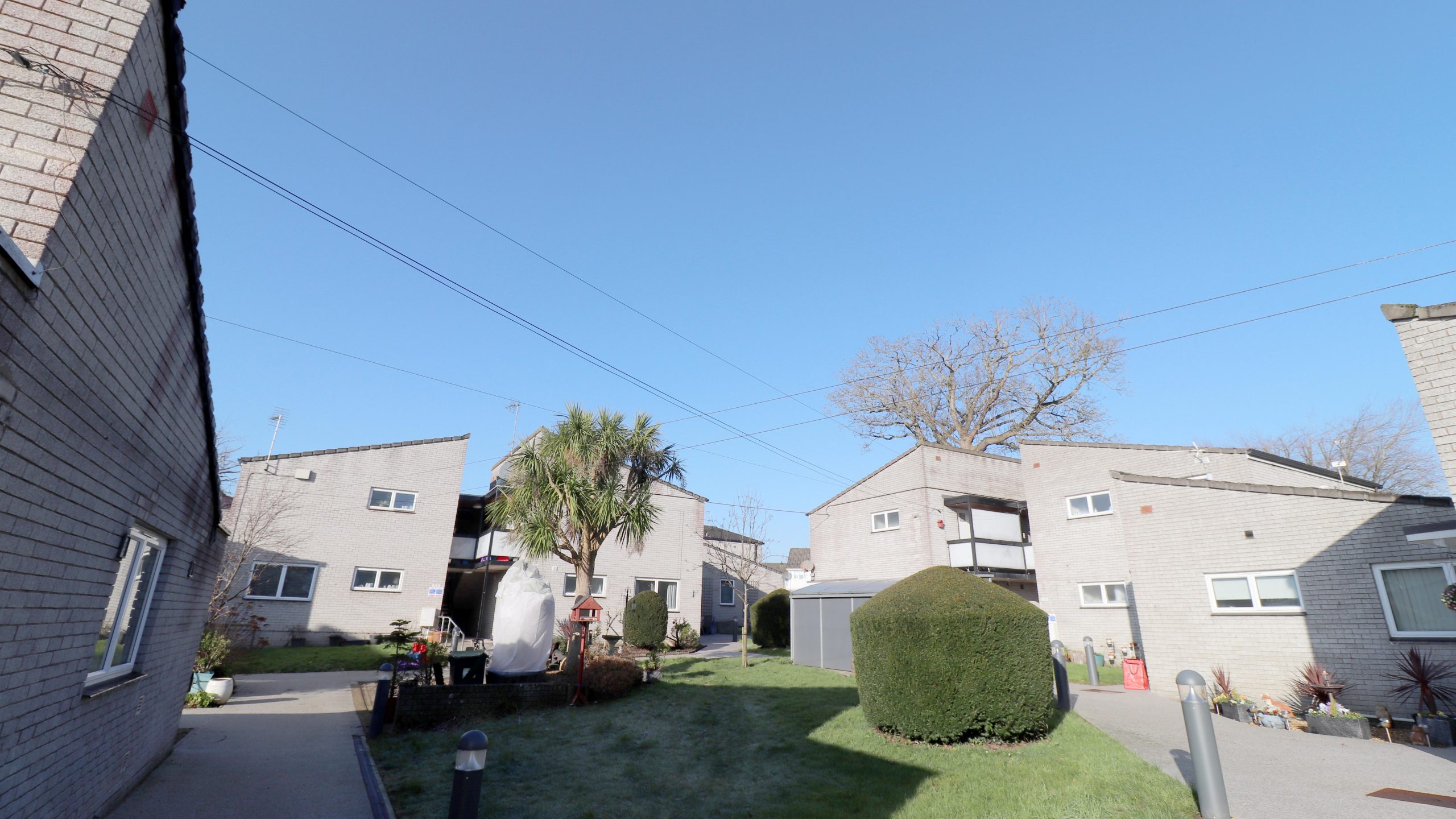 The Lawns thumbnail